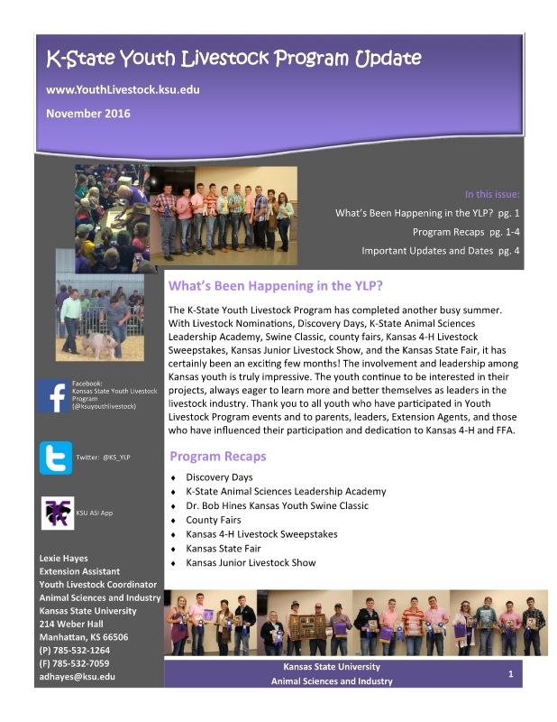 YLP_Fall Update Newsletter_11.1.2016