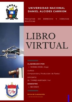 Libro Virtual TAMARA MORI, Diego