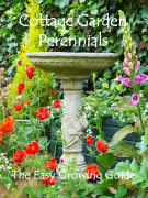 Cottage Garden Perennials 