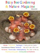 BizzyBeeGardening&NatureMagazineFebruary2014
