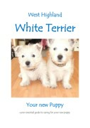 Westie Puppies