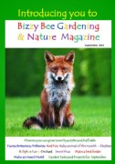 BizzyBeeGardening&NatureMagazineBrochure