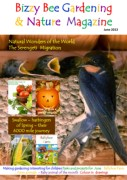 Bizzy Bee Gardening and Nature Magazine June 2013 