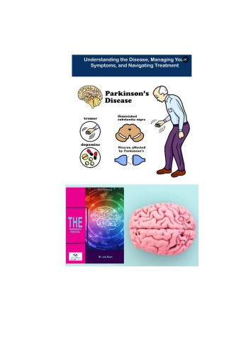 Jodi Knapp The Parkinsons Protocol PDF Download (eBook)