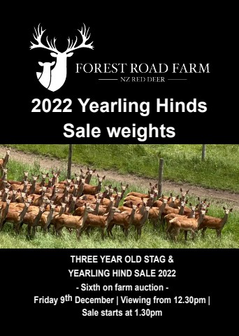 Forest Road Farm 2022 - Yearling Hinds sale weights