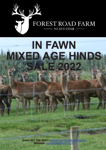 Forest Road Farm NZ Red Deer - Hinds Sale 2022 Catalogue