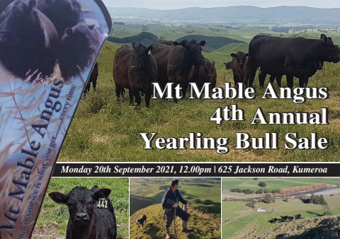 Mt Mable Angus-4th Yearling Annual Sale 2021