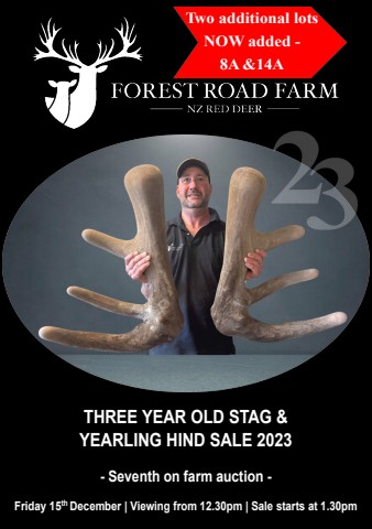 Forest Road Farm - NZ Red Deer - Three Year Old Stag & Yearling Hind Sale 2023