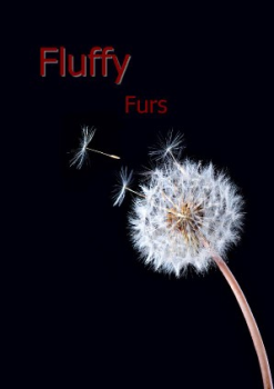 Catalog Fluffy Furs