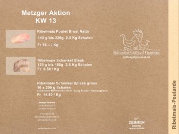 Metzger-flyer1