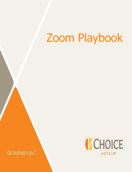 Zoom Playbook Services