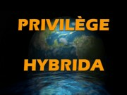 hybrida_sales