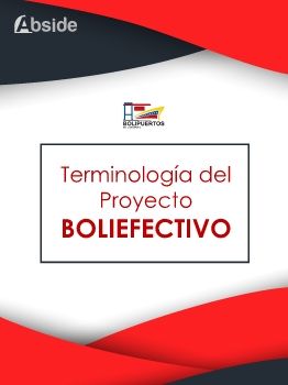 Terminología BoliEfectivo