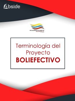 Terminología Proyecto BoliEfectivo