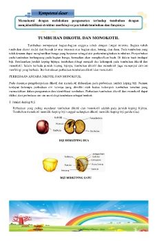 Handout dikotil monokotil