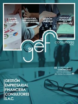 GEF CONSULTORES_MOVIL