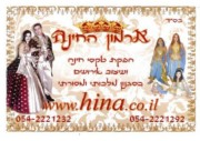 Invitation to Ari amd Emilia's Hennah Party