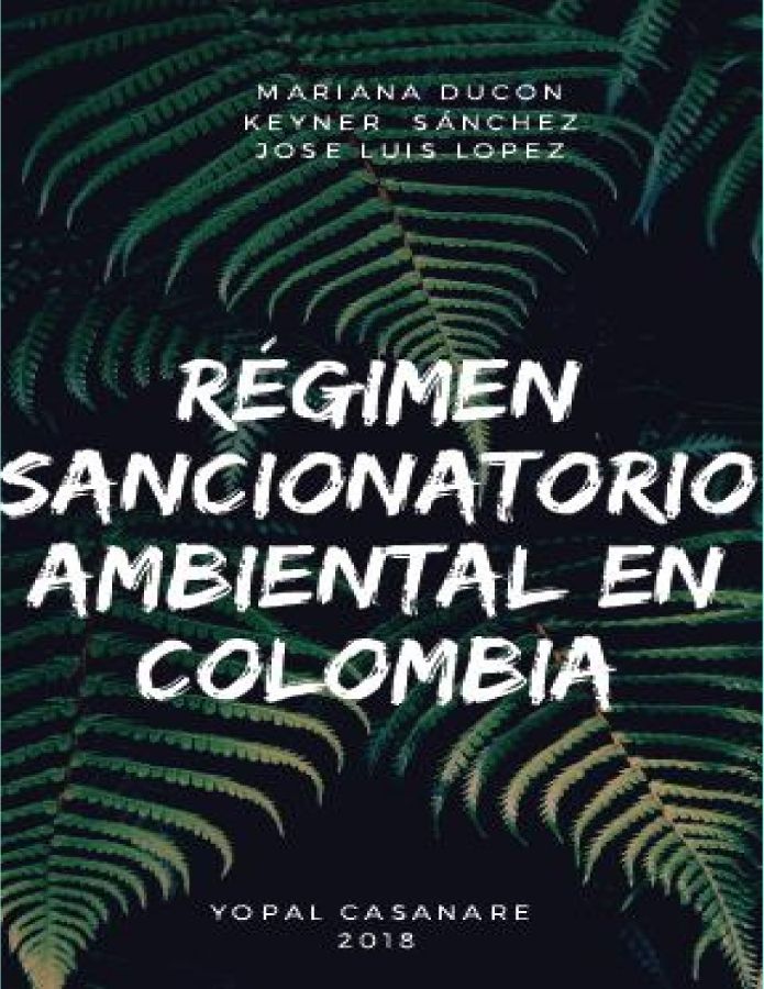 1RECONOCIMIENTO DEL REGIMEN SANCIONATORIO AMBIENTAL EN COLOMBIA