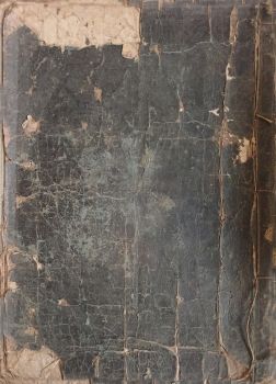 삼척김씨1756년 청장보