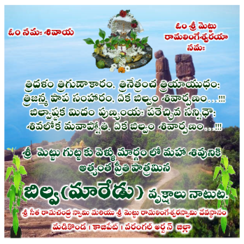 Bilva(Maredu) Trees Plantation at MettuGutta on World Environment Day 