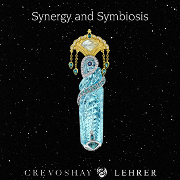 Synergy and Symbiosis