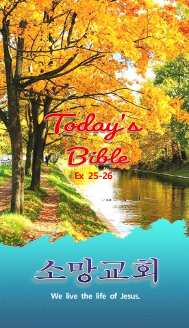 TODAY'S BIBLE Ex 25-26