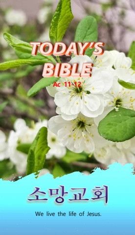 TODAY'S BIBLE Ac 11-12