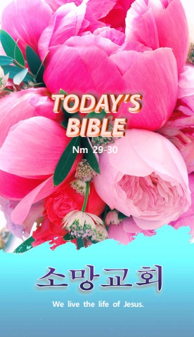 TODAY'S BIBLE Nm 29-30