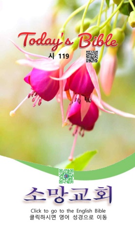 TODAY'S BIBLE 시119