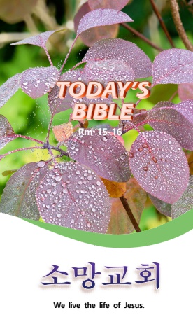 TODAY'S BIBLE Rm15-16