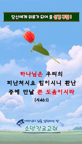 오늘 당신에게 위로가 되어 줄 성경말씀