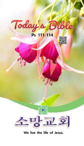 TODAY'S BIBLE Ps 111-114