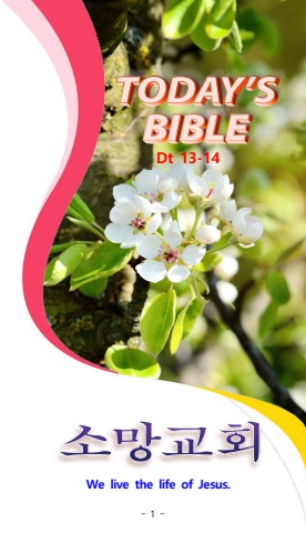 TODAY'S BIBLE Dt 13-14