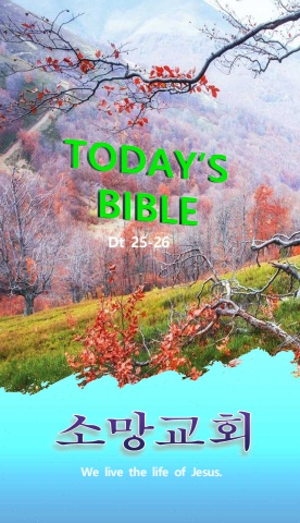 TODAY'S BIBLE Dt 25-26