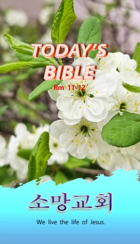 TODAY'S BIBLE Rm 11-12