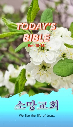 TODAY'S BIBLE Rm 15-16