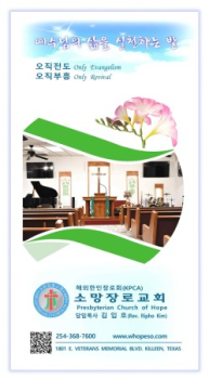6-4주보
