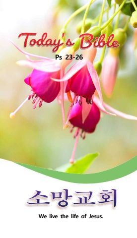 TODAY'S BIBLE Ps 23-26