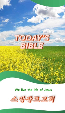 TODAY'S BIBLE JOE 1-2-1