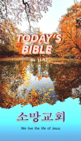 TODAY'S BIBLE Hs 11-12