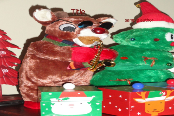 Christmas and New years in Chicago 2018
