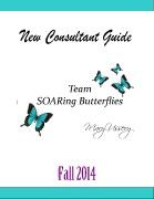 New Consultant Guidebook  Fall 2014