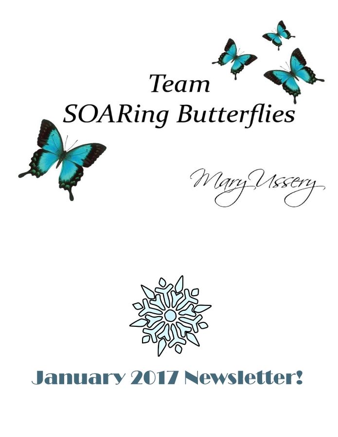 January 2017 SOARing Butterflies Team Stats & Newsletter