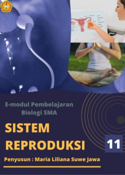 KONSEP EMODUL 1