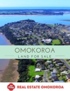 Omokoroa Land 1