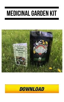 Medicinal Garden Kit PDF Download FREE DOC 2026