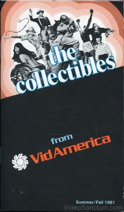 vidamerica81