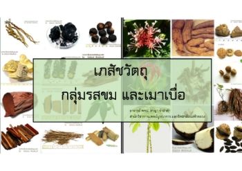 เครื่องยารสขม และเมาเบื่อ