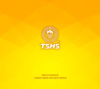TsungHsing - Continuous Fryer