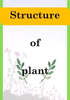 structure of plant_Float